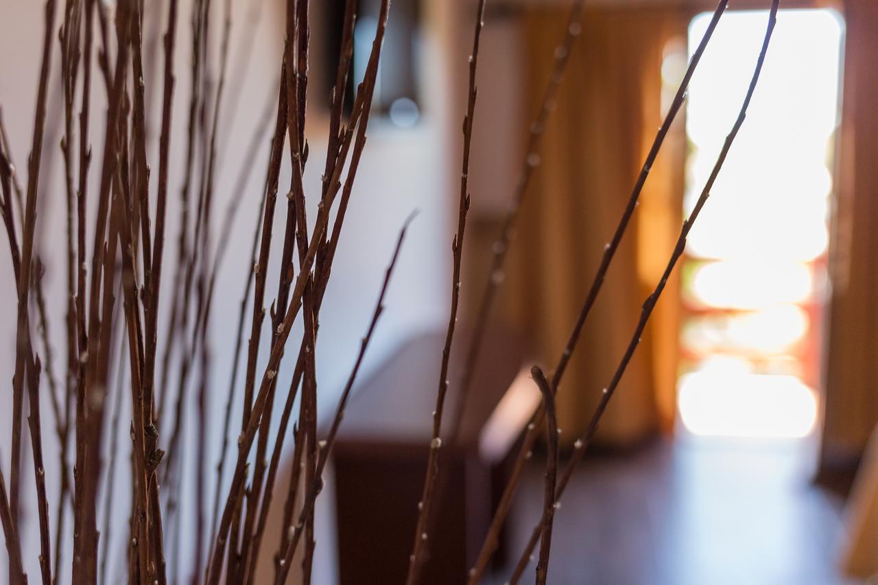 Hotel Bel Sur San Bernardo Ngoại thất bức ảnh